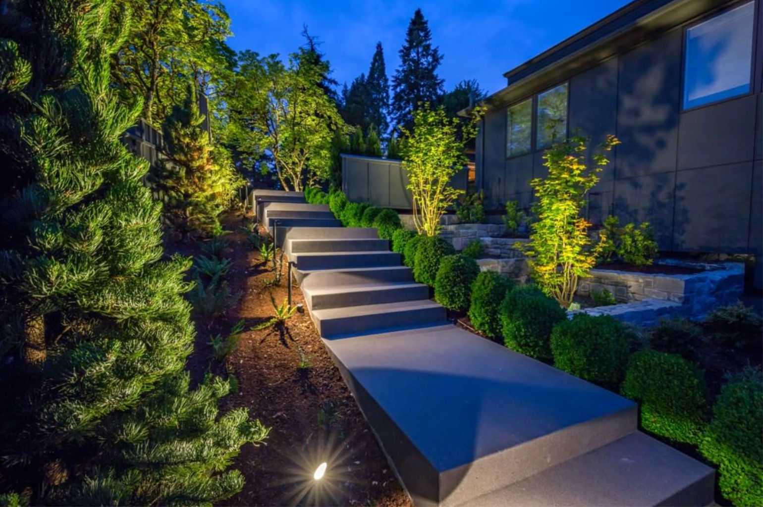 Professional landscape lighting along a walkway