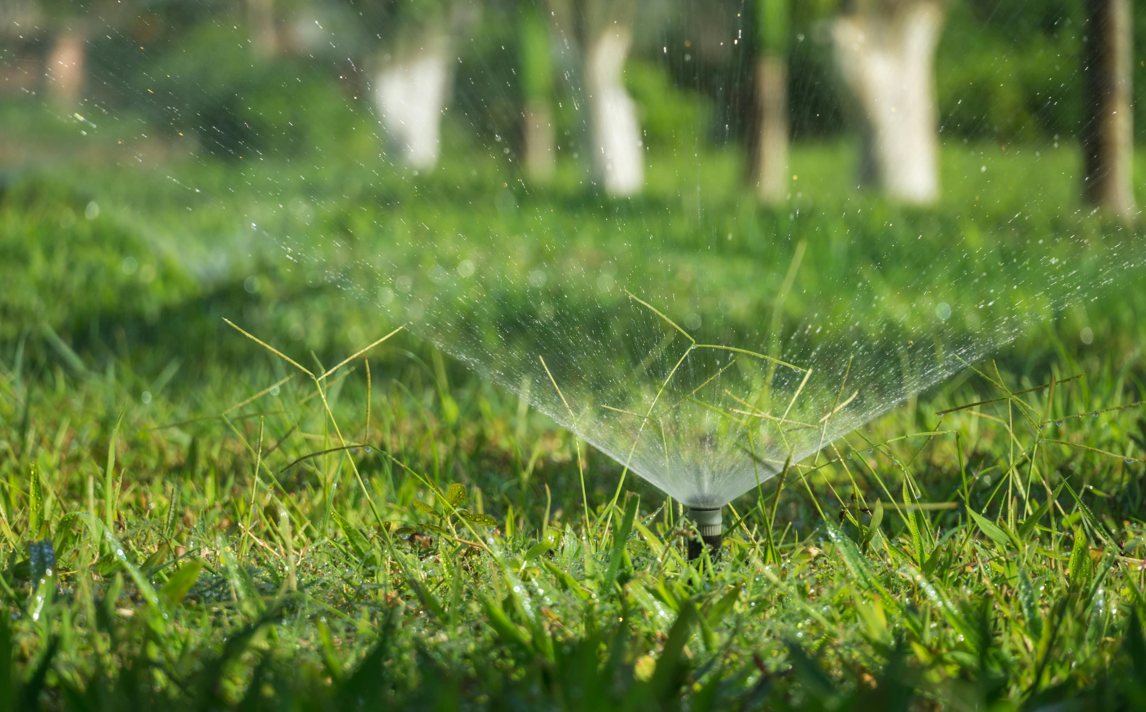 Sprinkler and irrigation service in Midlothian, Texas